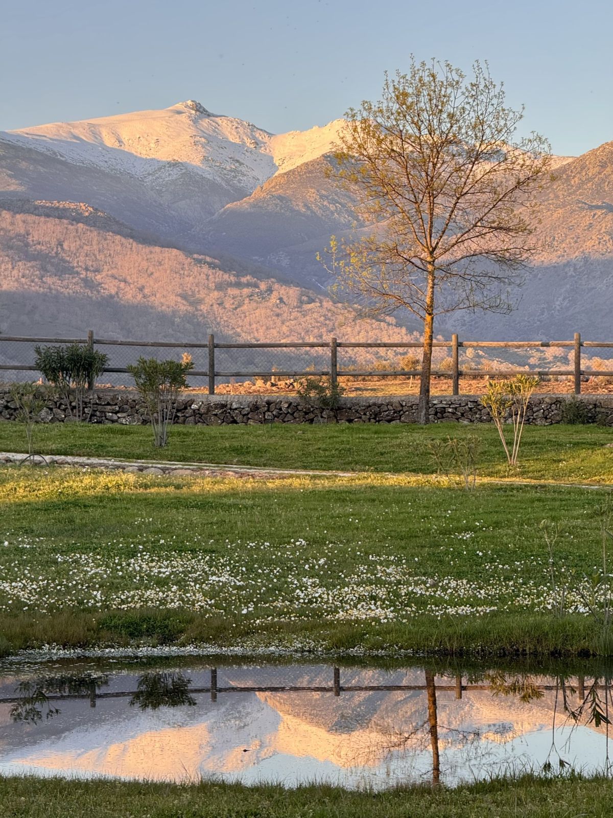 La Sierra de Gredos nevada reflejada en una charca de la finca